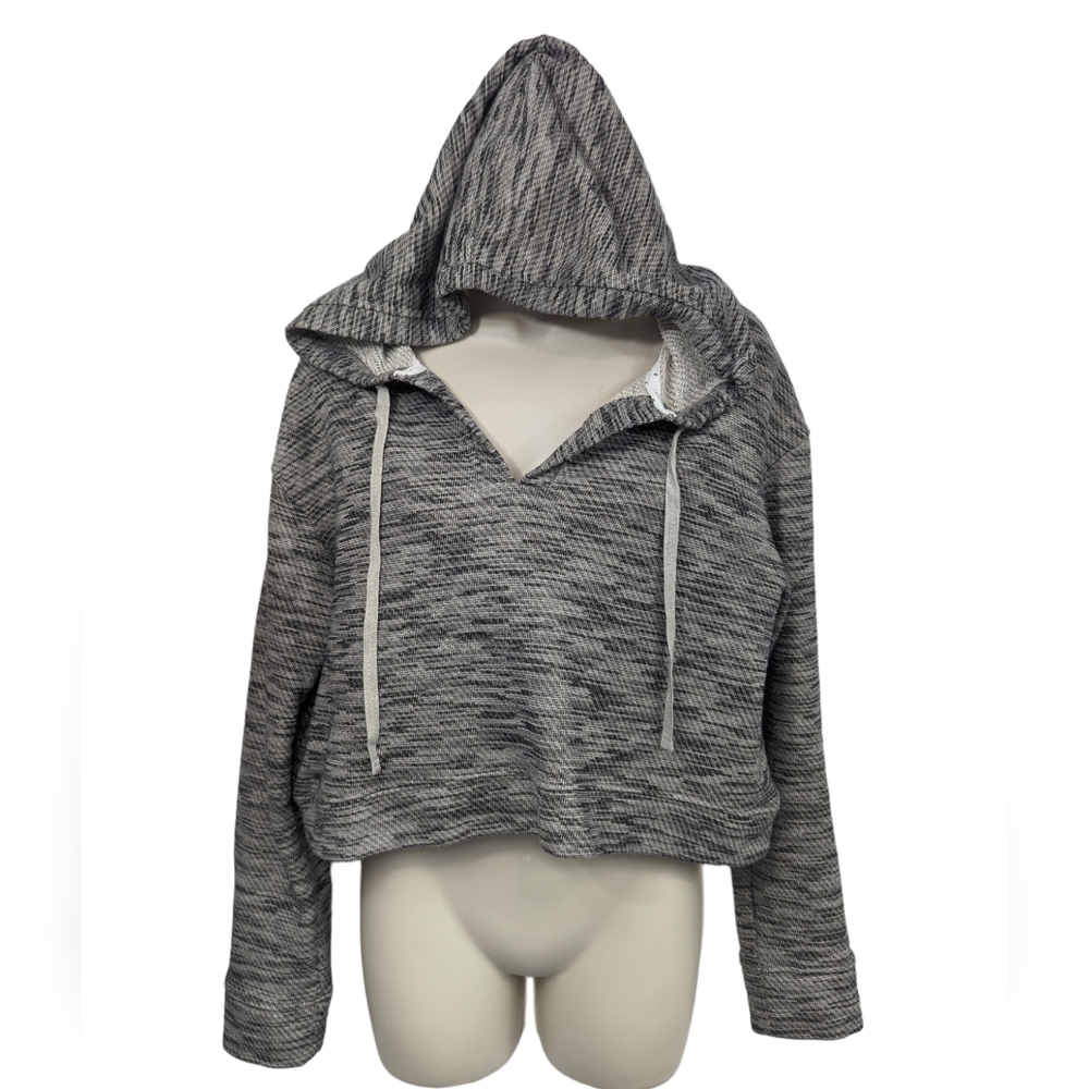 Saturday Sunday Cropped Metallic Shimmer Hoodie Sz M